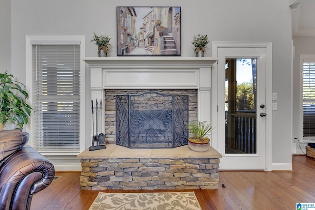 living room with a stone fireplace and wood-type flooring