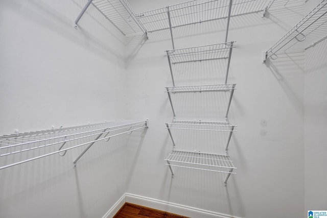 spacious closet with wood-type flooring