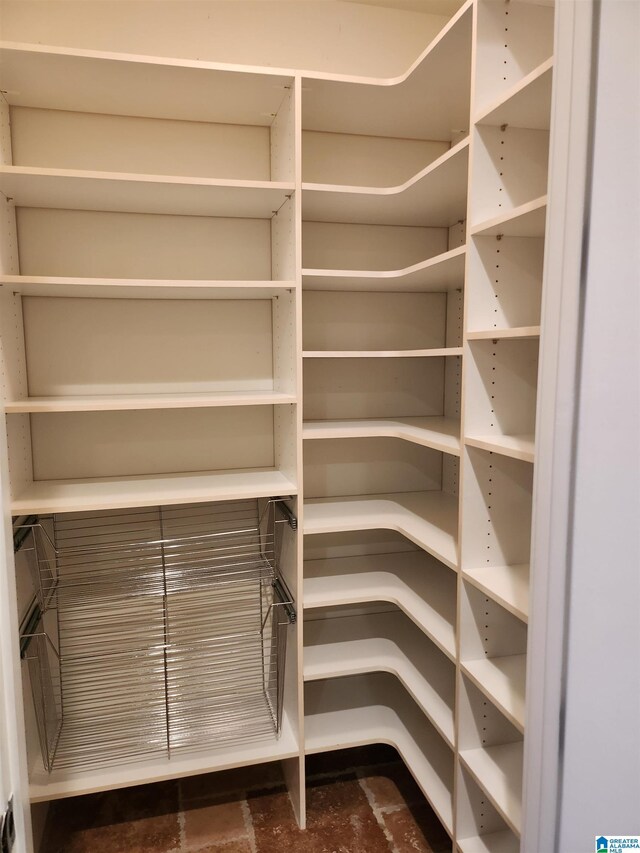 spacious closet with carpet floors