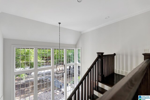 carpeted bedroom with ceiling fan and crown molding