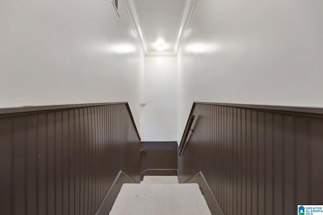 carpeted bedroom featuring ceiling fan and crown molding