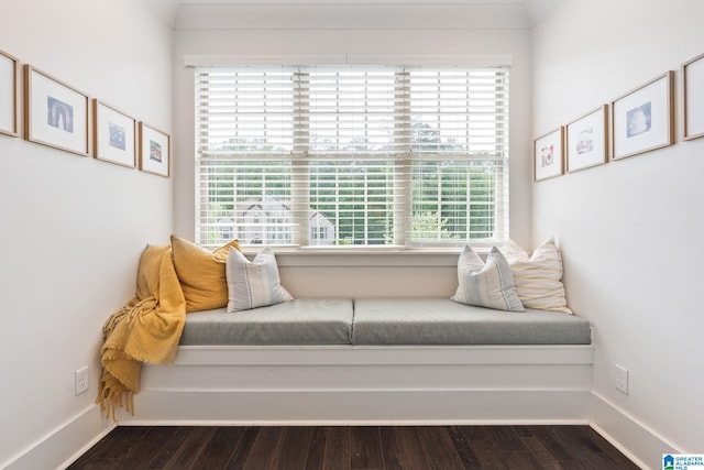 sitting room with dark hardwood / wood-style flooring and a wealth of natural light