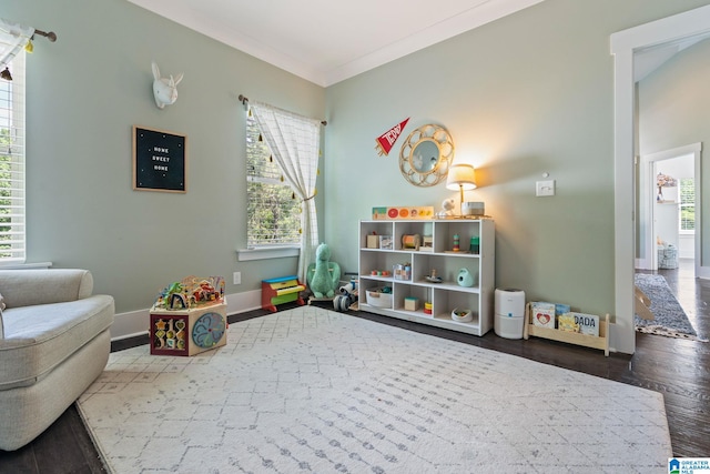 recreation room featuring crown molding and wood-type flooring