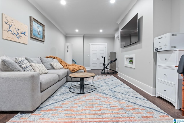 living room featuring dark wood-type flooring