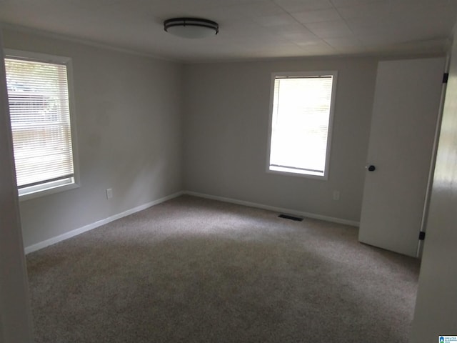 carpeted spare room with a wealth of natural light