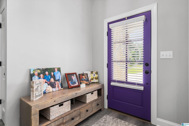 doorway featuring dark hardwood / wood-style flooring