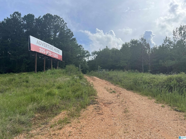 Listing photo 2 for 0 US Hwy Unit 1, Centreville AL 35042