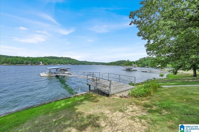 dock area with a water view