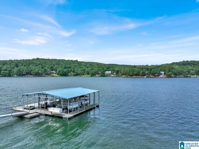 dock area with a water view