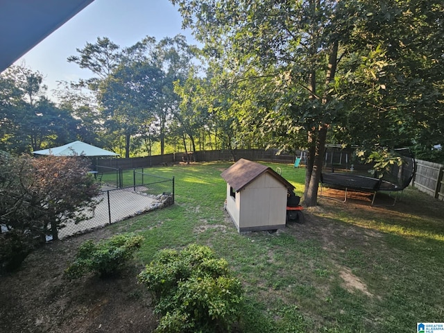 view of yard featuring a trampoline and a shed