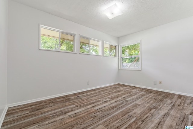 empty room featuring wood-type flooring and a textured ceiling