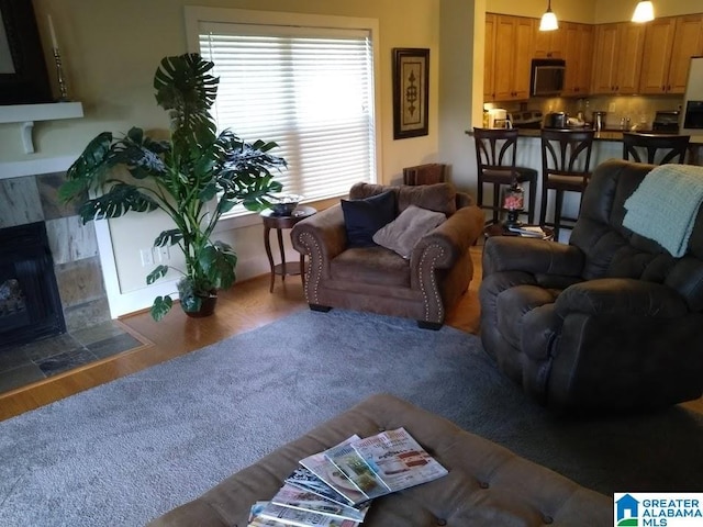 living area with a fireplace and wood finished floors