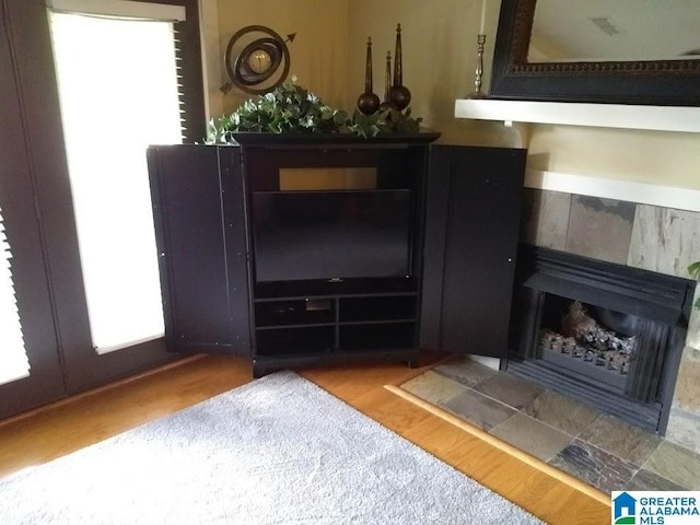 interior space featuring a fireplace and wood finished floors