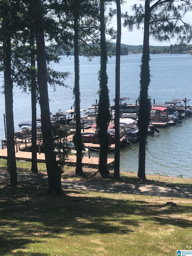 water view with a boat dock