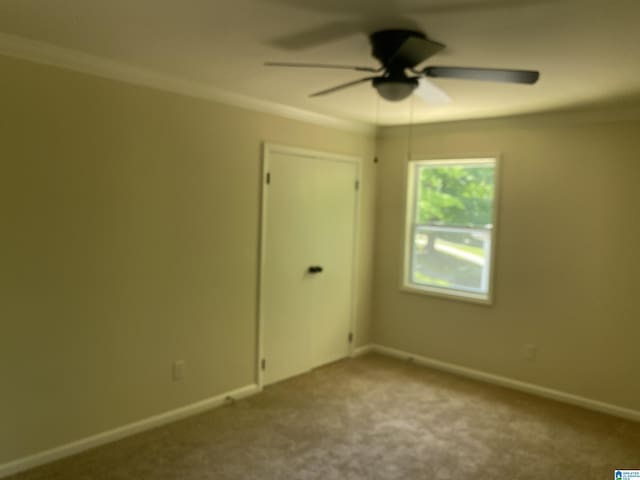 carpeted spare room featuring ornamental molding and ceiling fan