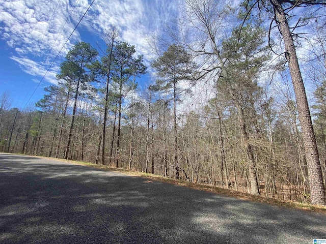 Mountain Springs Rd Unit 12Acres, Ashville AL, 35953 land for sale