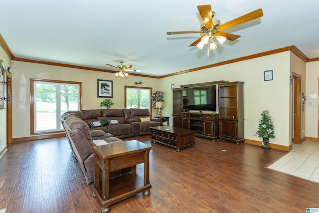 living room with ceiling fan, crown molding, and dark wood-type flooring