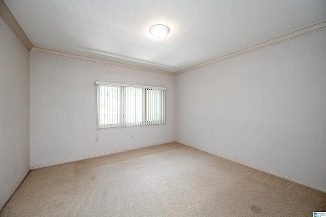 carpeted spare room with crown molding and baseboards