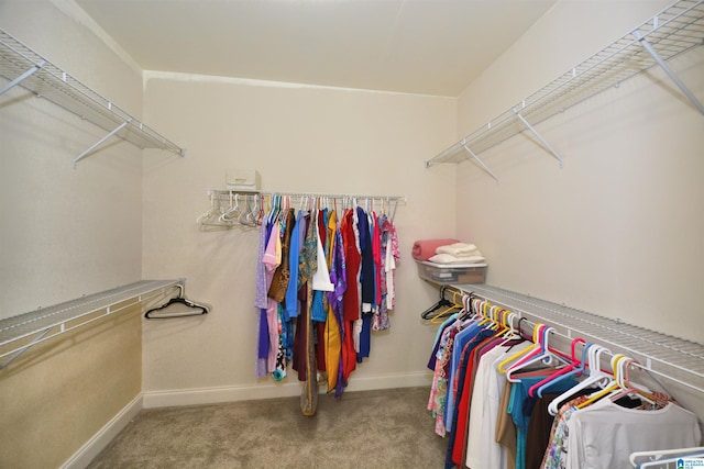 spacious closet with carpet