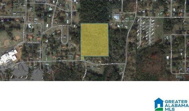 Listing photo 2 for 0 Wana Ave Unit 0, Weaver AL 36277