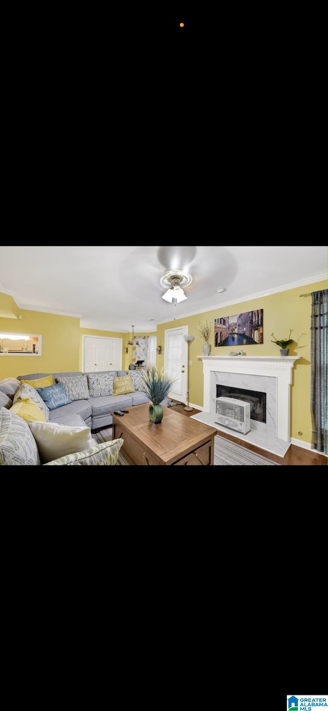 living room featuring a fireplace and hardwood / wood-style flooring