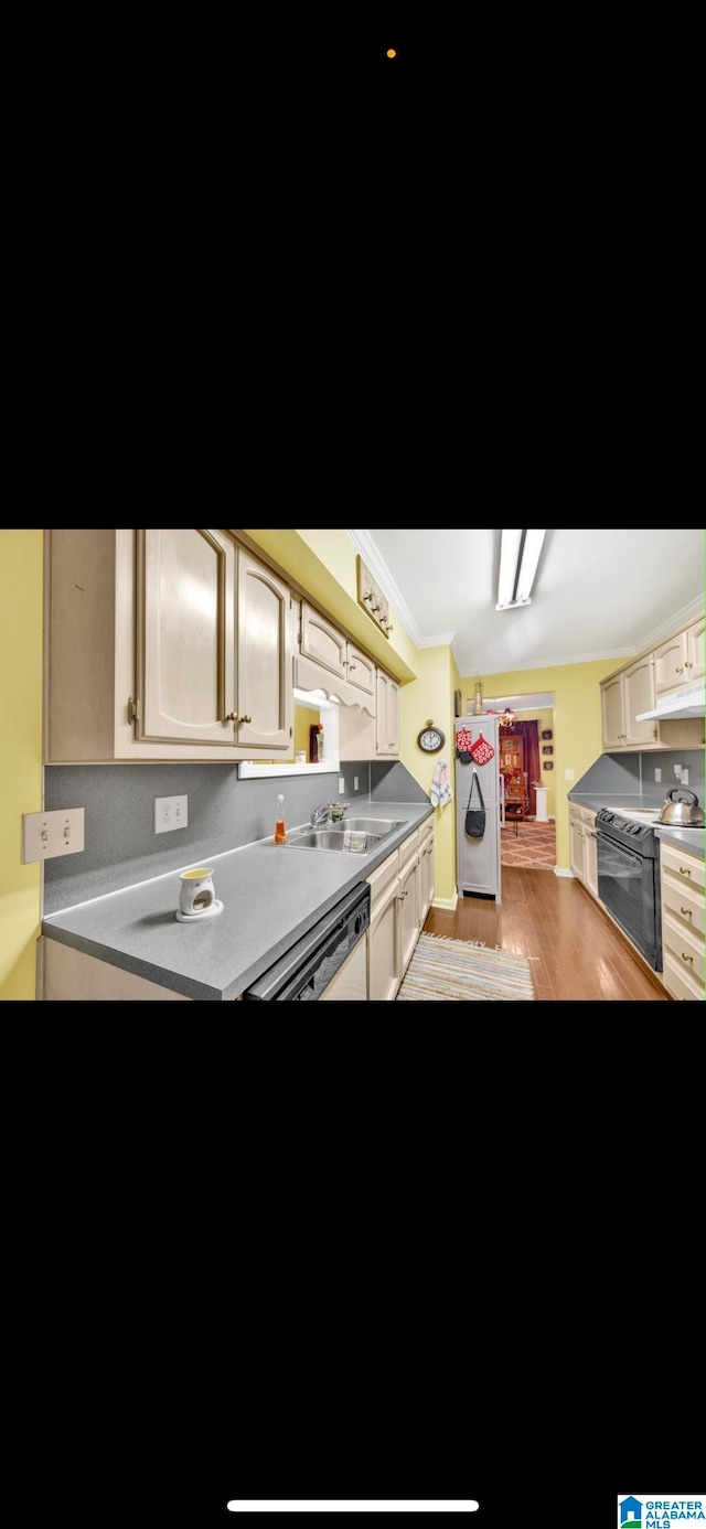 kitchen with sink, light hardwood / wood-style flooring, crown molding, and white appliances