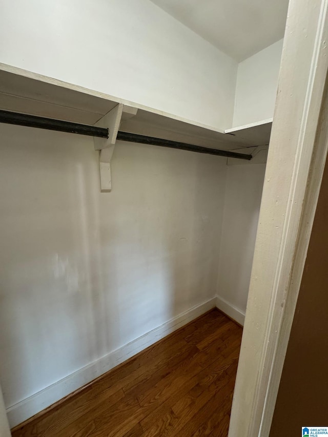 spacious closet featuring dark wood-type flooring