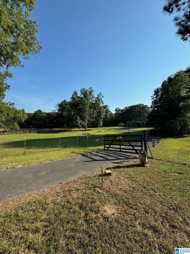 view of community with a yard