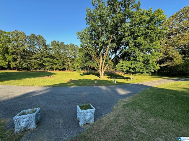 exterior space with a yard