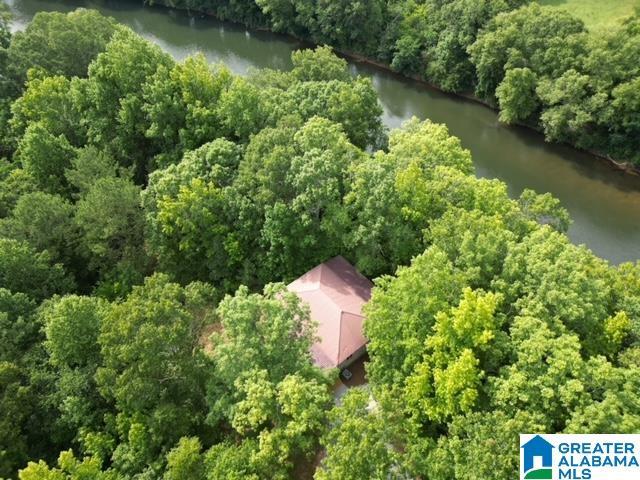 birds eye view of property featuring a water view and a wooded view