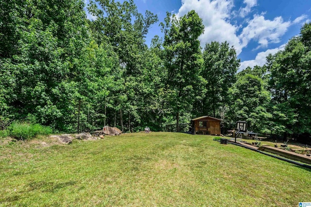 view of yard with a shed