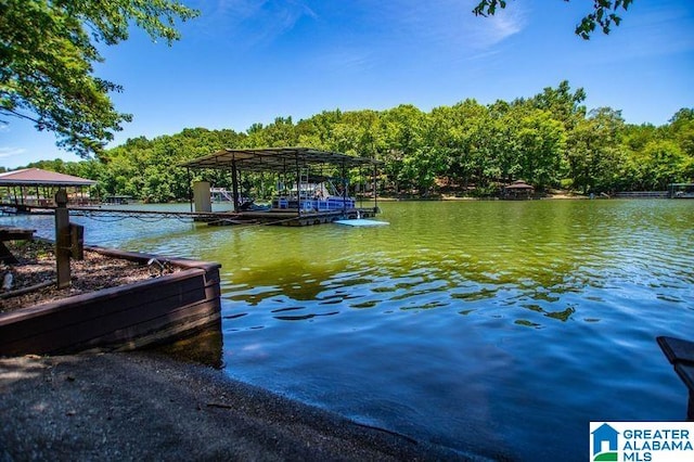 dock area with a water view