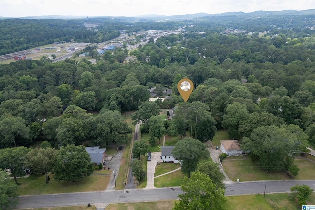 bird's eye view