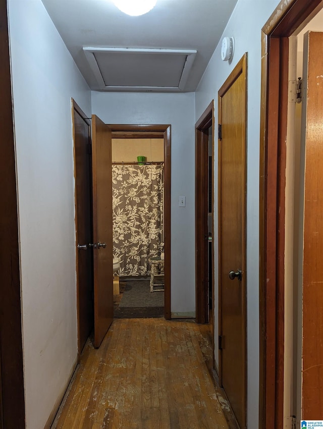 hallway featuring dark wood-type flooring