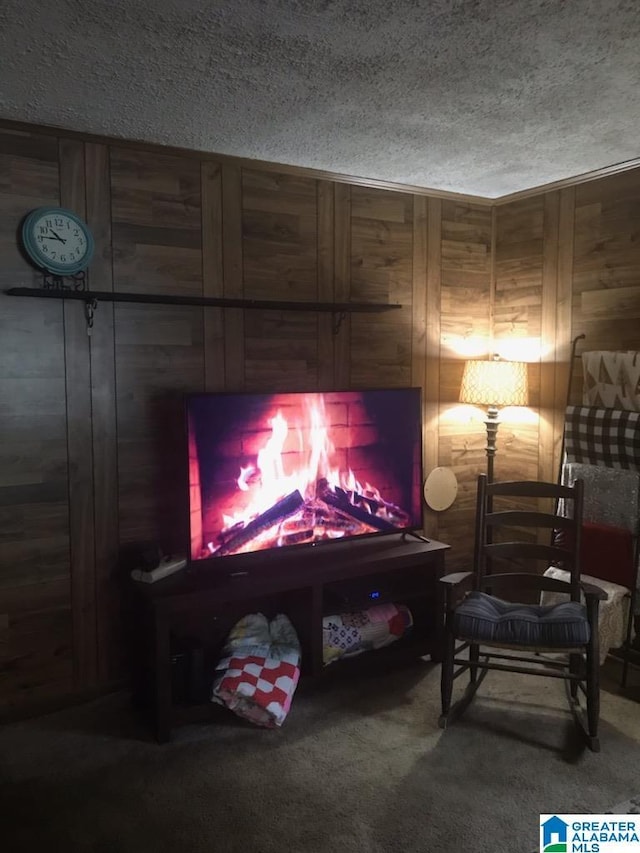 living area featuring wood walls, carpet, and a textured ceiling