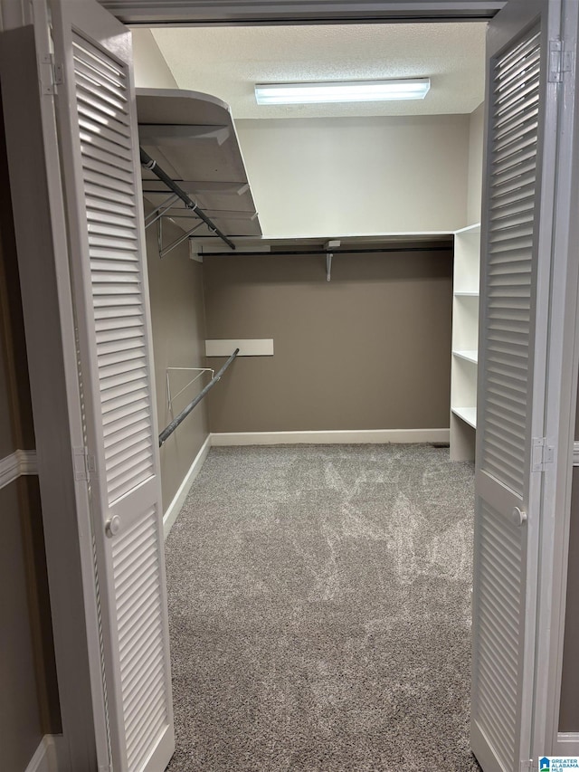 spacious closet featuring carpet flooring