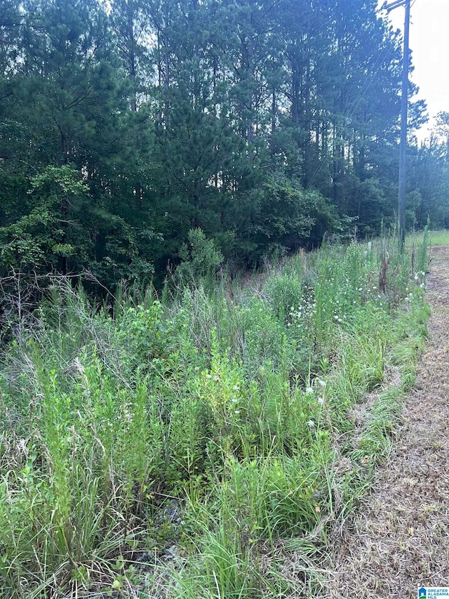 0 Shore Side Ln Unit 215, Sylacauga AL, 35151 land for sale