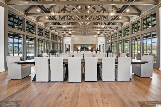 interior space with a healthy amount of sunlight, a towering ceiling, and wood finished floors