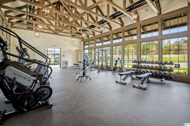 workout area featuring high vaulted ceiling