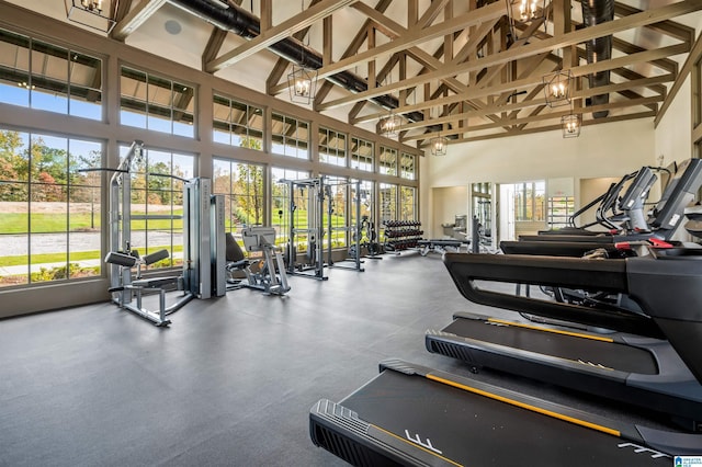 exercise room featuring high vaulted ceiling