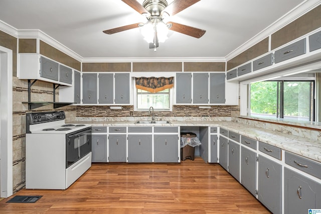 kitchen featuring light wood-type flooring, crown molding, gray cabinetry, white electric range, and sink