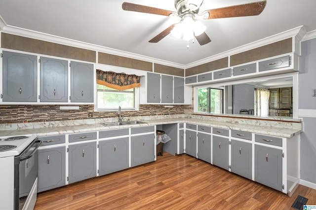 kitchen featuring dark hardwood / wood-style floors, white range with electric stovetop, crown molding, gray cabinetry, and sink