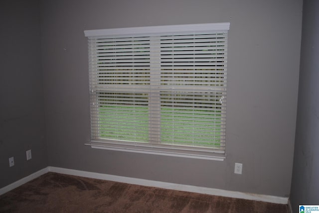 room details featuring carpet