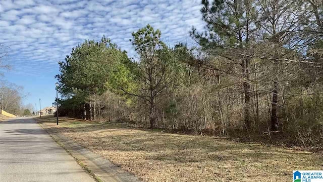 Listing photo 2 for LOT7 County Road 70 Unit 7, Thorsby AL 35171