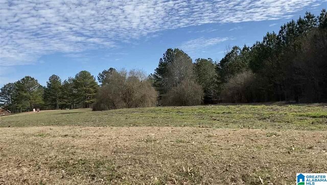 Listing photo 3 for LOT7 County Road 70 Unit 7, Thorsby AL 35171