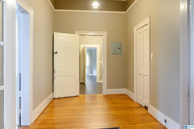 hall featuring light hardwood / wood-style floors, ornamental molding, and electric panel