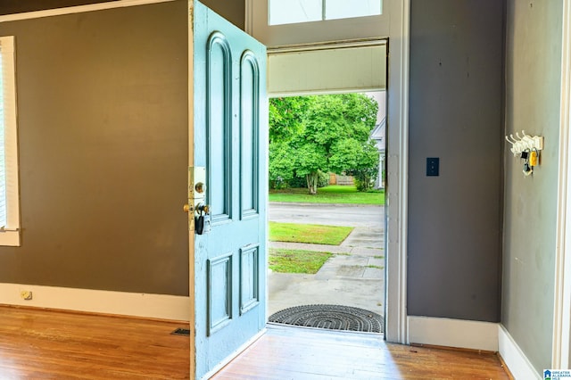 foyer entrance featuring hardwood / wood-style floors and a healthy amount of sunlight