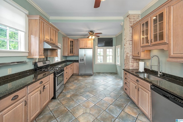 kitchen featuring stainless steel appliances, ornamental molding, sink, and dark stone countertops