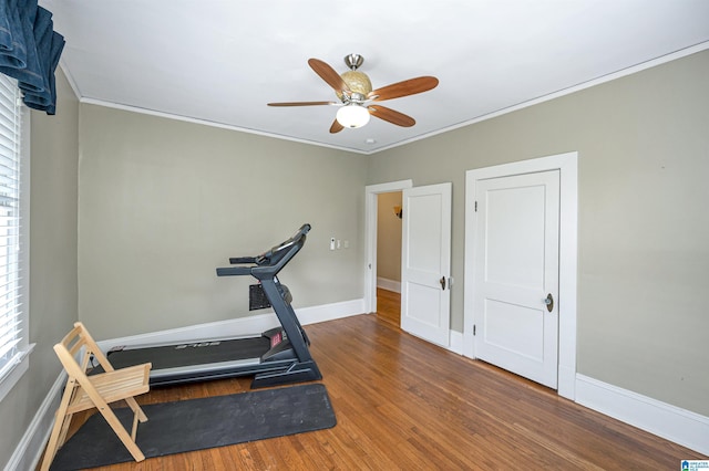 workout area featuring hardwood / wood-style flooring, ceiling fan, and ornamental molding