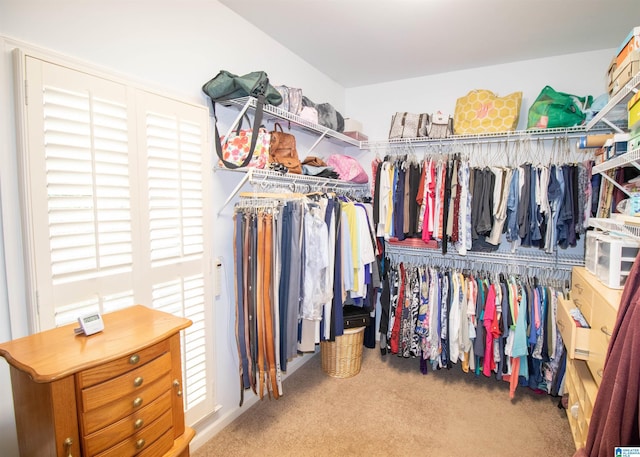 walk in closet featuring carpet